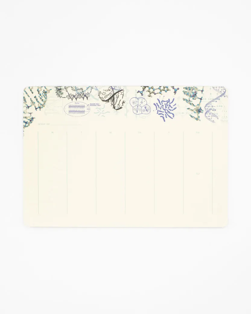 Cognitive Surplus Genetics Notepads - Retro DNA Pad | * Notepads | Microbiology