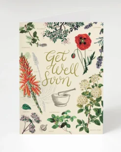 Cognitive Surplus Get Well: Medicinal Botany Card - Herbal Pharmacy | * Greeting Cards | Pharmacy