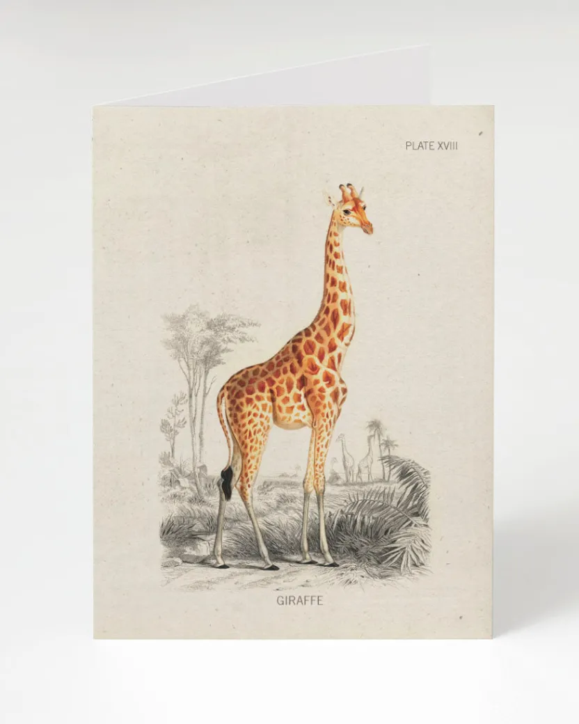 Cognitive Surplus Giraffe Greeting Card - Science Stationery | * Greeting Cards | Biology