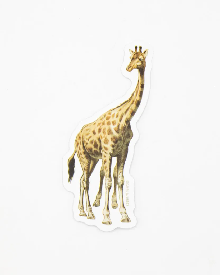 Cognitive Surplus Giraffe Sticker* Stickers | Biology
