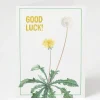Cognitive Surplus Good Luck! Dandelion Greeting Card | * Greeting Cards | Biology