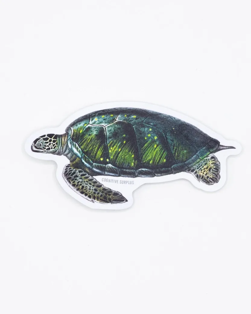 Cognitive Surplus Green Sea Turtle Sticker* Stickers | Marine Biology