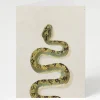 Cognitive Surplus Green Snake Greeting Card - Biology Stationery | * Greeting Cards | Biology