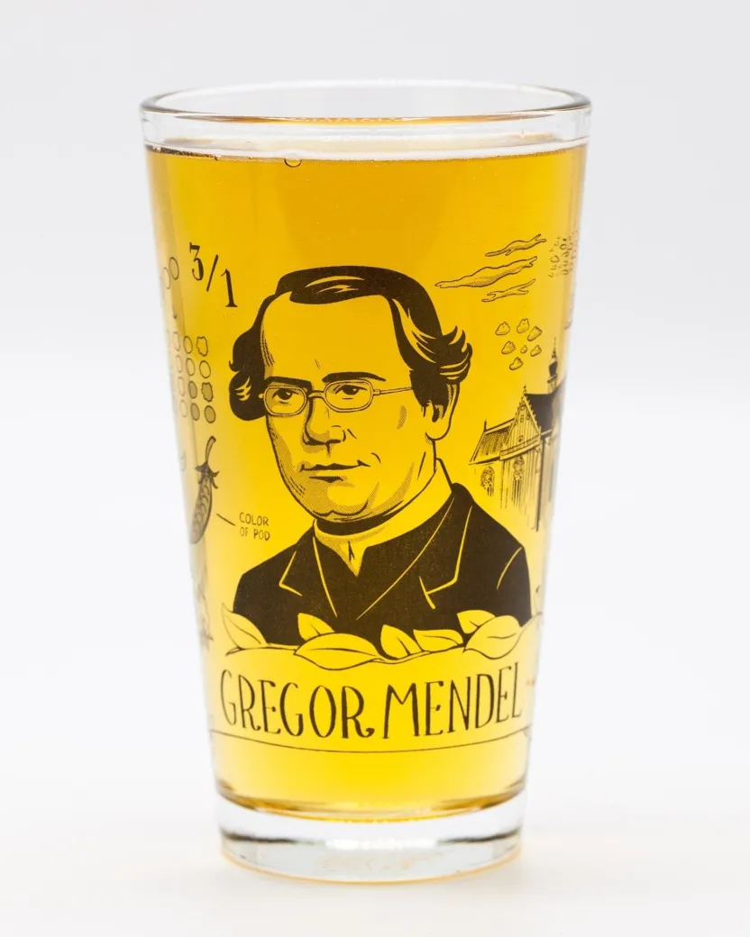 Cognitive Surplus Gregor Mendel Pint Glass | Microbiologist* Beer Glasses | Microbiology