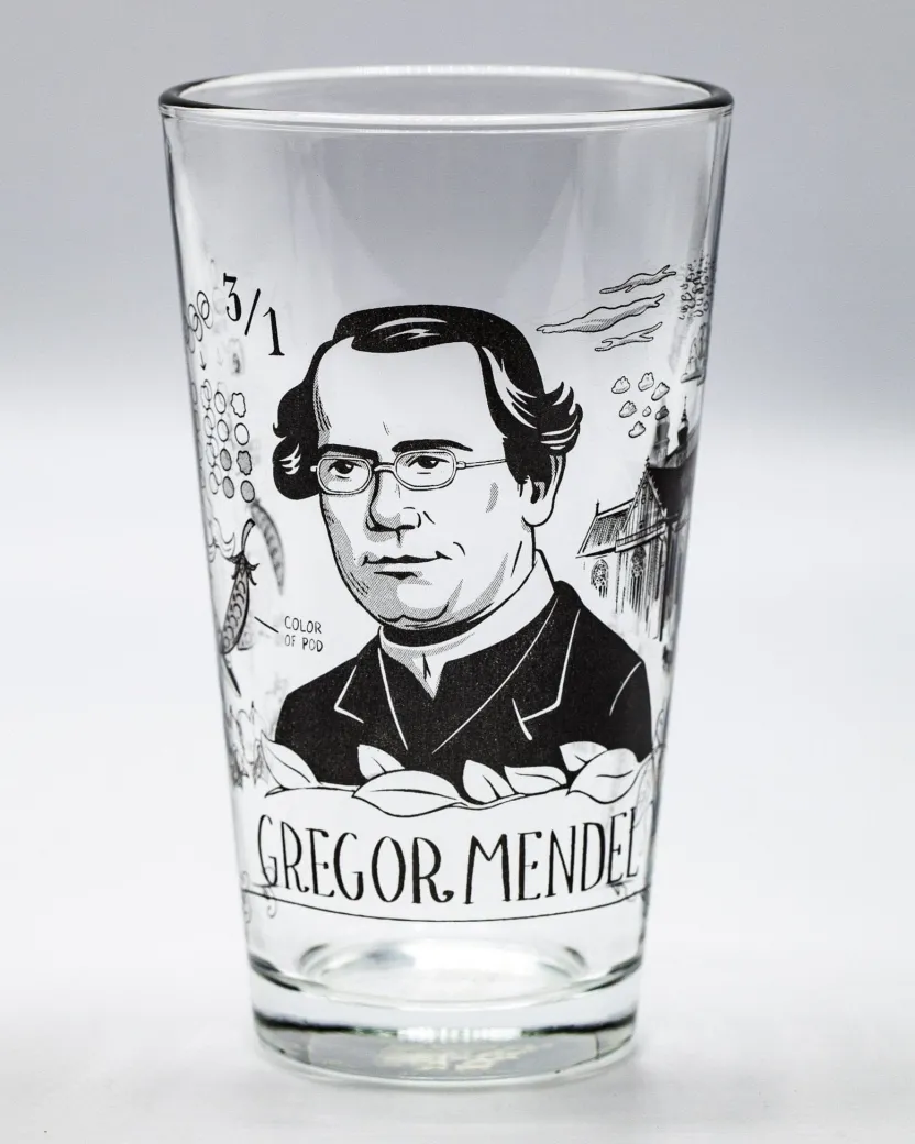 Cognitive Surplus Gregor Mendel Pint Glass | Microbiologist* Beer Glasses | Microbiology