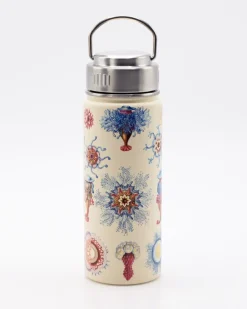 Cognitive Surplus Haeckel Jellyfish Stainless Steel Vacuum Flask / Insulated Travel Mug* Travel Mugs | Water Bottles