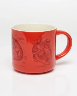 Cognitive Surplus Heart Anatomy Mug - Nurse Mug | * Mugs | Medicine