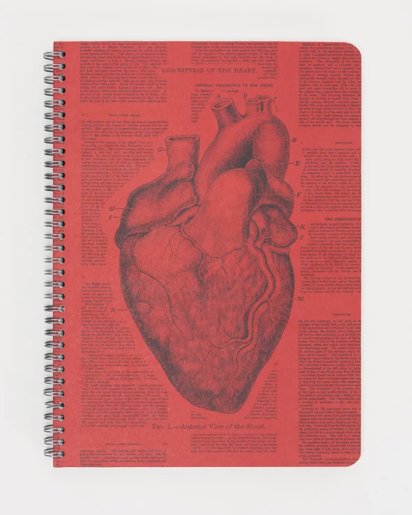 Cognitive Surplus Heart Anatomy Spiral Notebook | * The Helix | Medicine