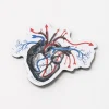 Cognitive Surplus Heart Blood Flow Magnet* Magnets | Medicine