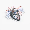 Cognitive Surplus Heart Blood Flow Sticker* Stickers | Medicine