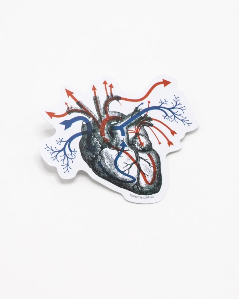 Cognitive Surplus Heart Blood Flow Sticker* Stickers | Medicine