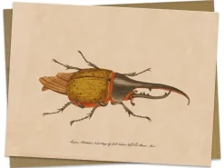 Cognitive Surplus Hercules Beetle Greeting Card - Entomology Stationery | * Greeting Cards | Entomology