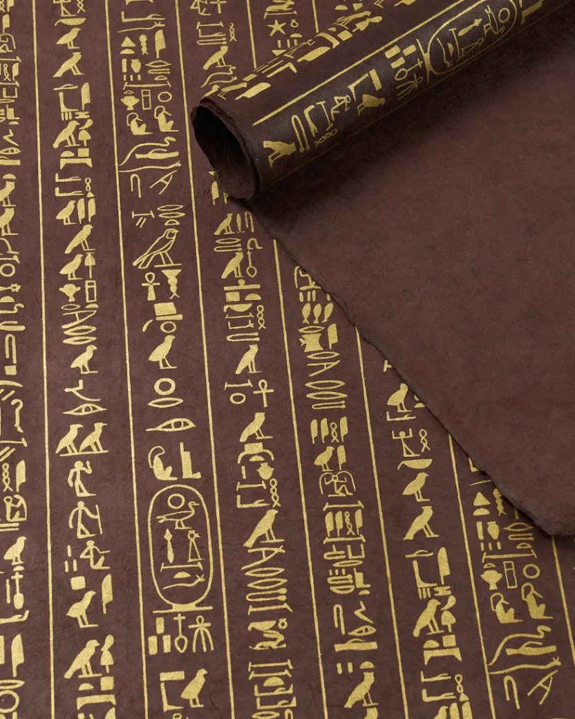 Cognitive Surplus Hieroglyphics Wrapping Paper* Wrapping Paper | Anthropology & Archaeology