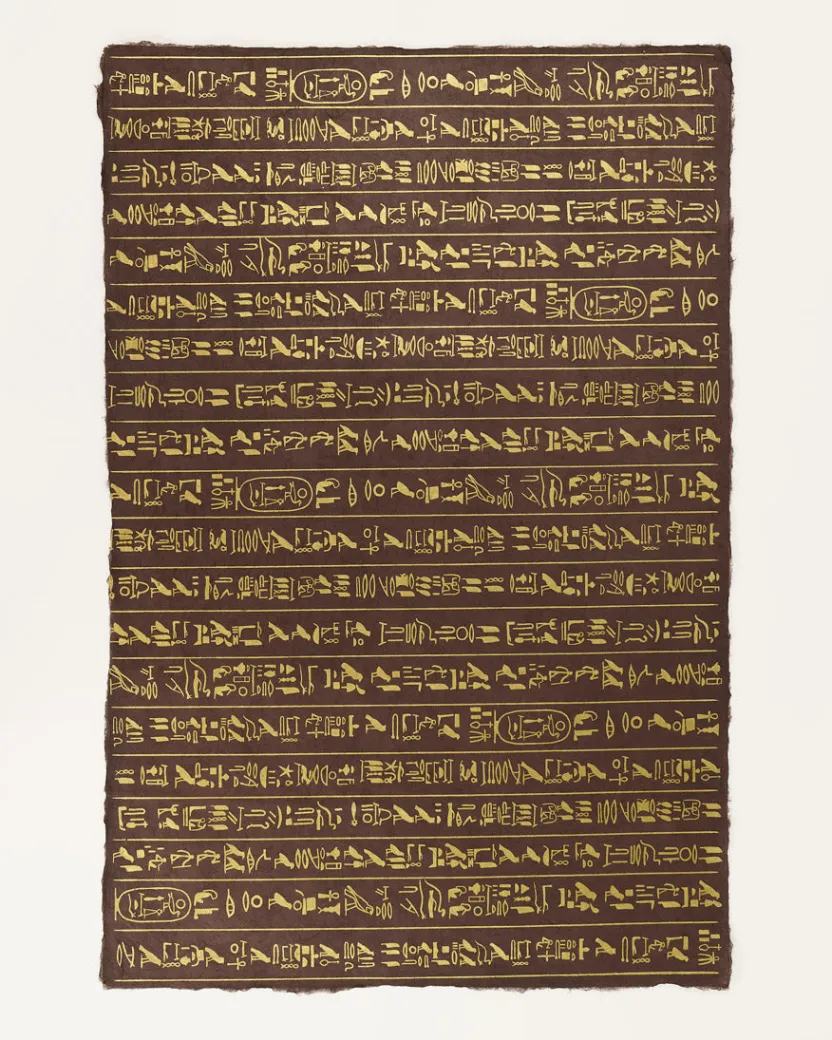 Cognitive Surplus Hieroglyphics Wrapping Paper* Wrapping Paper | Anthropology & Archaeology