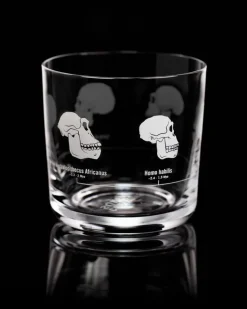 Cognitive Surplus Hominid Skulls Whiskey Glass - Scotch Glass | * Rocks Glasses | Anthropology & Archaeology