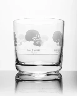 Cognitive Surplus Hominid Skulls Whiskey Glass - Scotch Glass | * Rocks Glasses | Anthropology & Archaeology