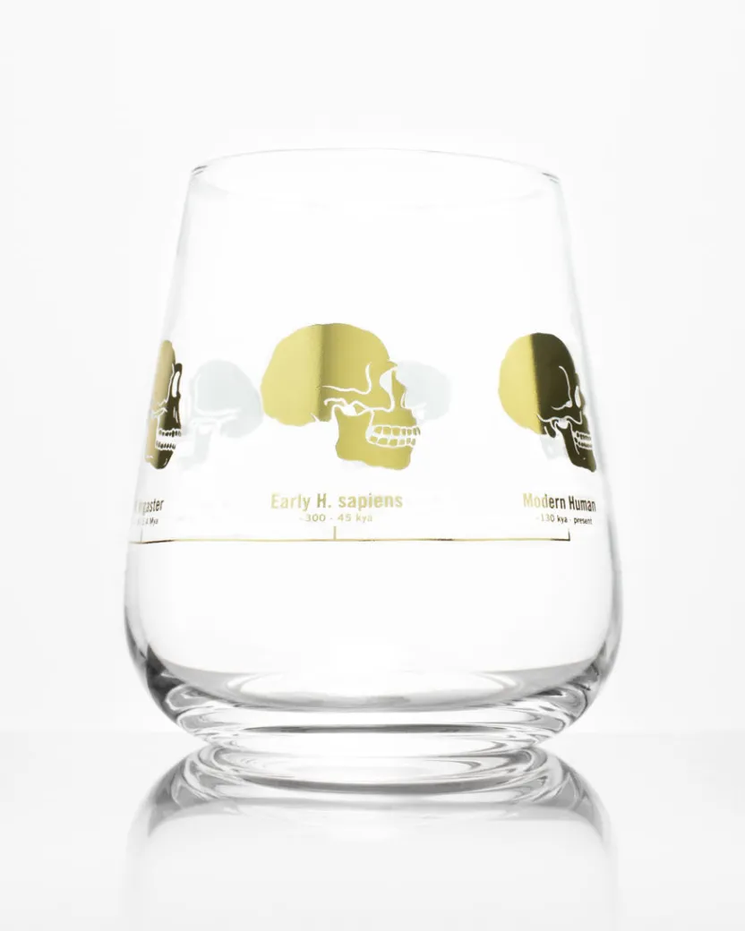 Cognitive Surplus Hominid Skulls Wine Glass | * Wine Glasses | Biology