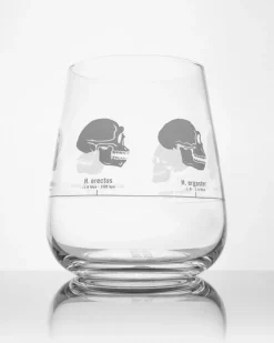 Cognitive Surplus Hominid Skulls Wine Glass | * Wine Glasses | Biology