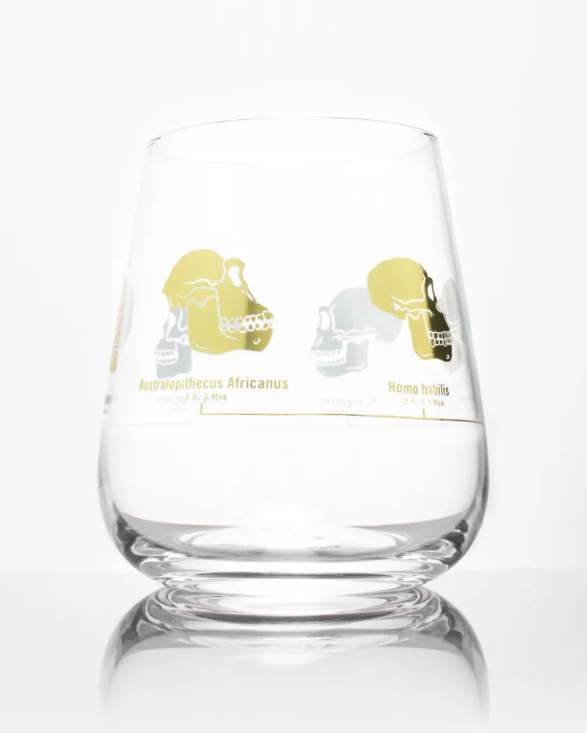 Cognitive Surplus Hominid Skulls Wine Glass | * Wine Glasses | Biology