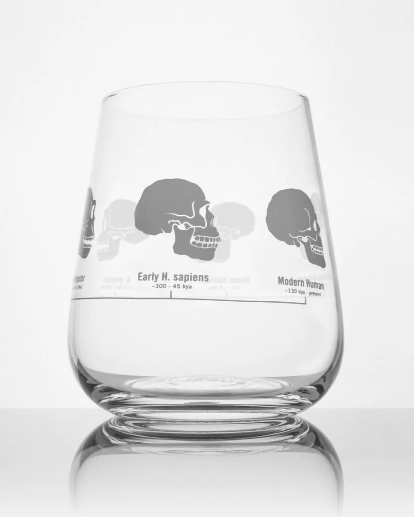 Cognitive Surplus Hominid Skulls Wine Glass | * Wine Glasses | Biology