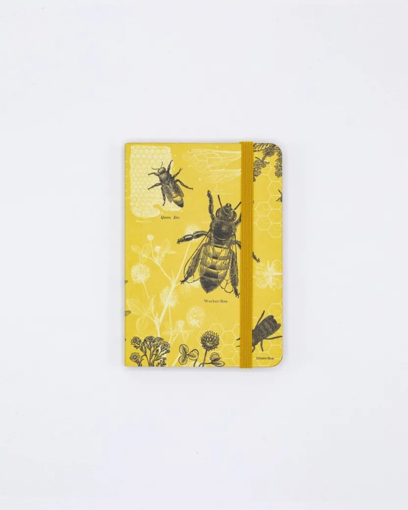 Cognitive Surplus Honey Bee Observation Softcover* The Observation | Entomology
