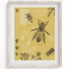 Cognitive Surplus Honey Bee Scientific Illustration Museum Print* Wall Art | Entomology