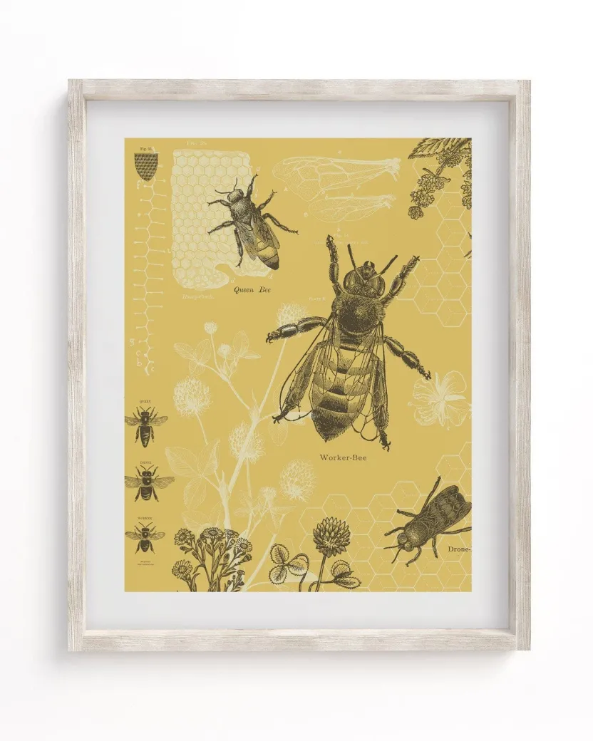 Cognitive Surplus Honey Bee Scientific Illustration Museum Print* Wall Art | Entomology