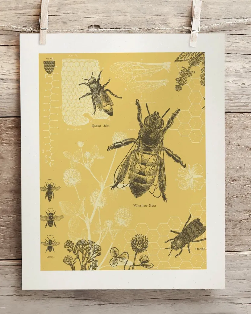 Cognitive Surplus Honey Bee Scientific Illustration Museum Print* Wall Art | Entomology