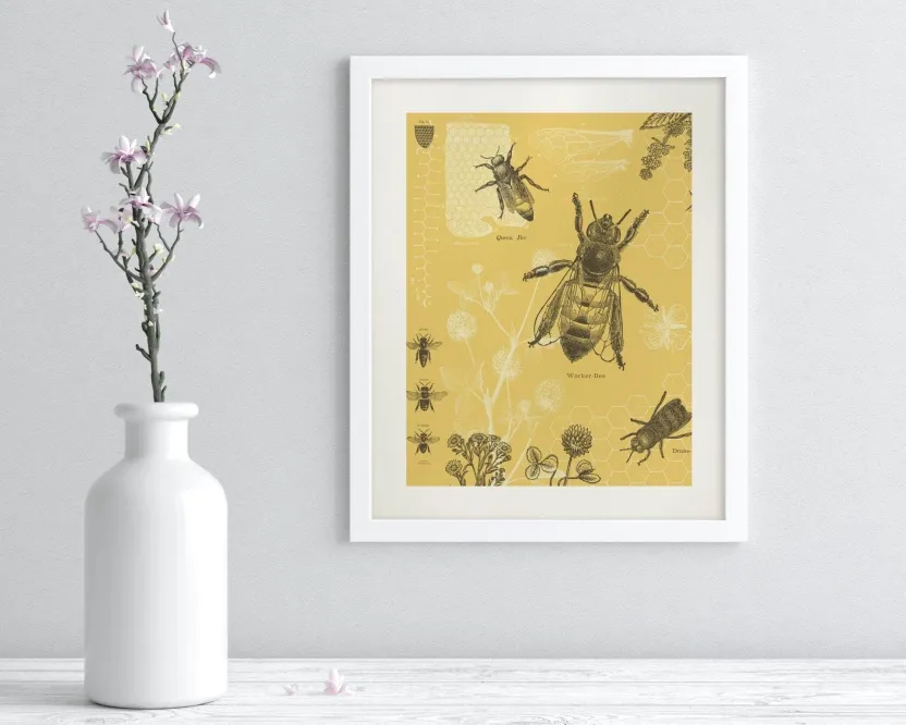 Cognitive Surplus Honey Bee Scientific Illustration Museum Print* Wall Art | Entomology