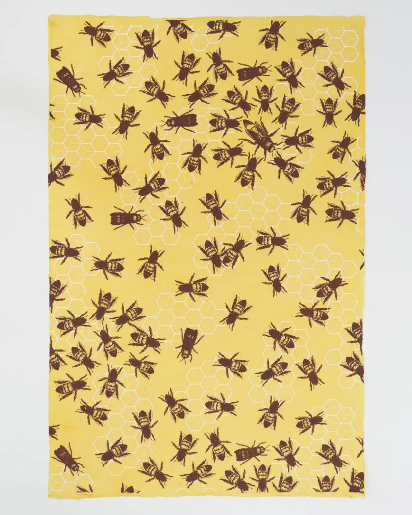 Cognitive Surplus Honey Bee Wrapping Paper* Wrapping Paper | Entomology