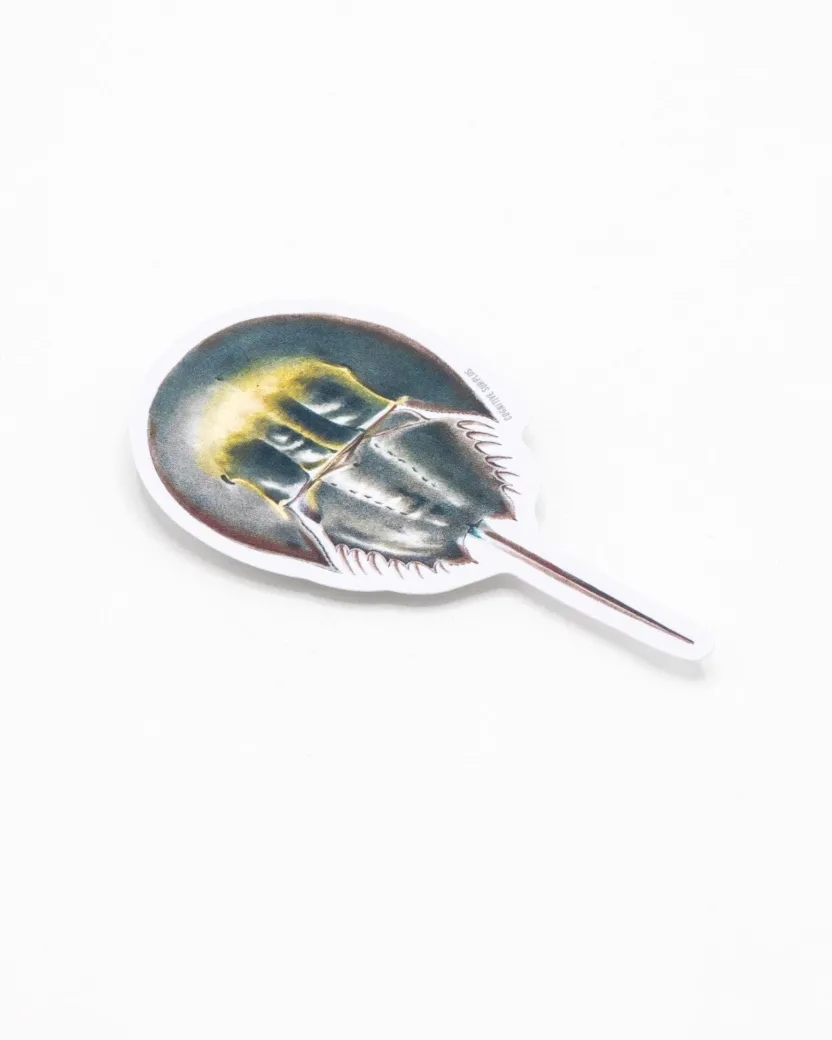 Cognitive Surplus Horseshoe Crab Sticker* Stickers | Marine Biology