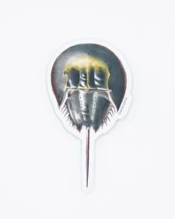 Cognitive Surplus Horseshoe Crab Sticker* Stickers | Marine Biology