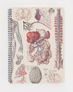 Cognitive Surplus Human Anatomy Spiral Notebook | * The Helix | Psychology