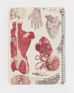 Cognitive Surplus Human Anatomy Spiral Notebook | * The Helix | Psychology