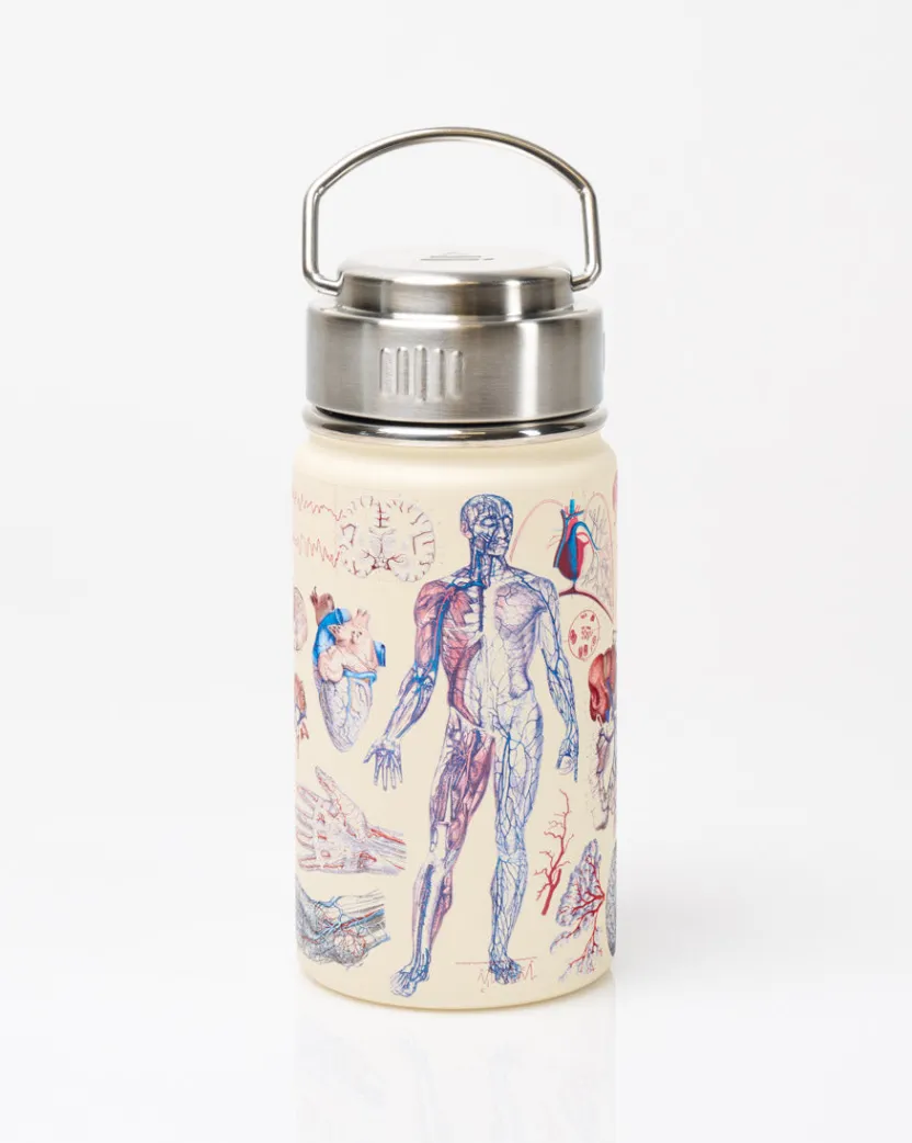 Cognitive Surplus Human Anatomy Stainless Steel Vacuum Flask / Insulated Travel Thermos* Travel Mugs | Water Bottles