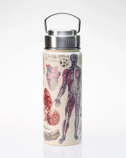 Cognitive Surplus Human Anatomy Stainless Steel Vacuum Flask / Insulated Travel Thermos* Travel Mugs | Water Bottles