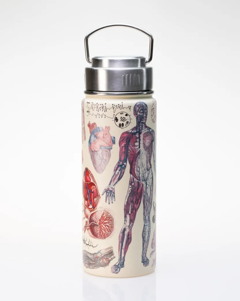 Cognitive Surplus Human Anatomy Stainless Steel Vacuum Flask / Insulated Travel Thermos* Travel Mugs | Water Bottles