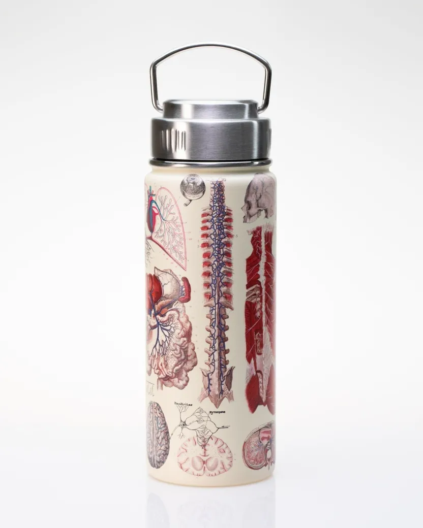 Cognitive Surplus Human Anatomy Stainless Steel Vacuum Flask / Insulated Travel Thermos* Travel Mugs | Water Bottles