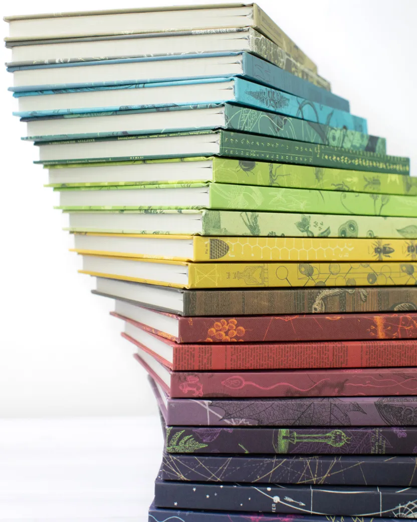 Cognitive Surplus Hypothesis Mystery Notebook 6-pack* Multi-Pack Collections | The Hypothesis