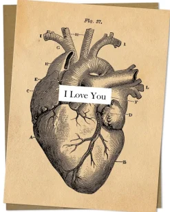 Cognitive Surplus I Love You Anatomical Heart Card - Medical Illustration | * Greeting Cards | Medicine
