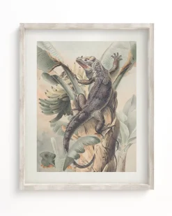 Cognitive Surplus Iguana Scientific Illustration Museum Print* Wall Art | Biology