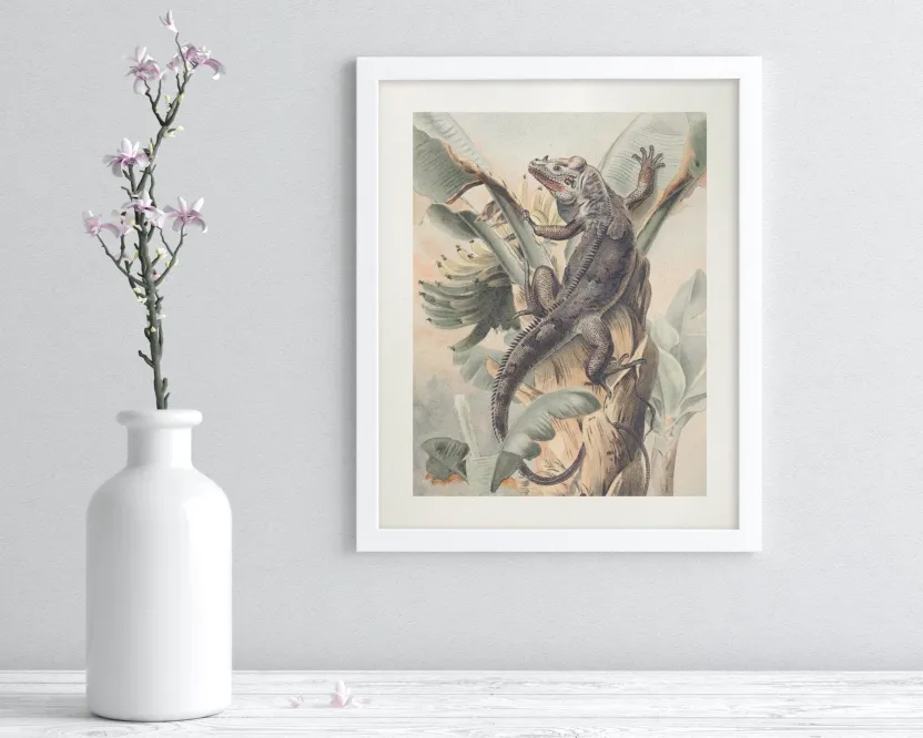 Cognitive Surplus Iguana Scientific Illustration Museum Print* Wall Art | Biology