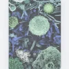 Cognitive Surplus Infectious Disease Hardcover Journal | Microbiologist* The Hypothesis | Microbiology