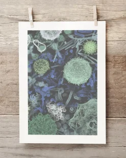 Cognitive Surplus Infectious Disease Museum Print | Art Prints | * Microbiology | Medicine