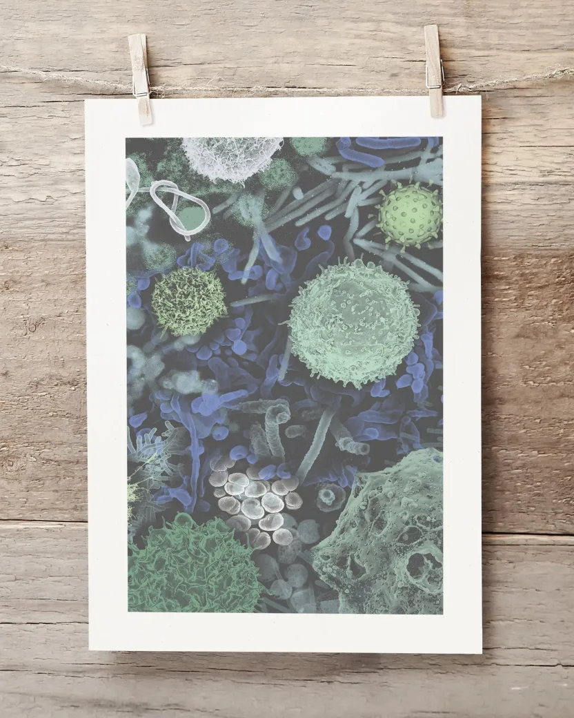 Cognitive Surplus Infectious Disease Museum Print | Art Prints | * Microbiology | Medicine