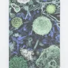 Cognitive Surplus Infectious Disease Softcover Notebook | Recycled Notebook* The Experiment | Medicine