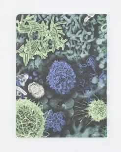 Cognitive Surplus Infectious Disease Softcover Notebook | Recycled Notebook* The Experiment | Medicine