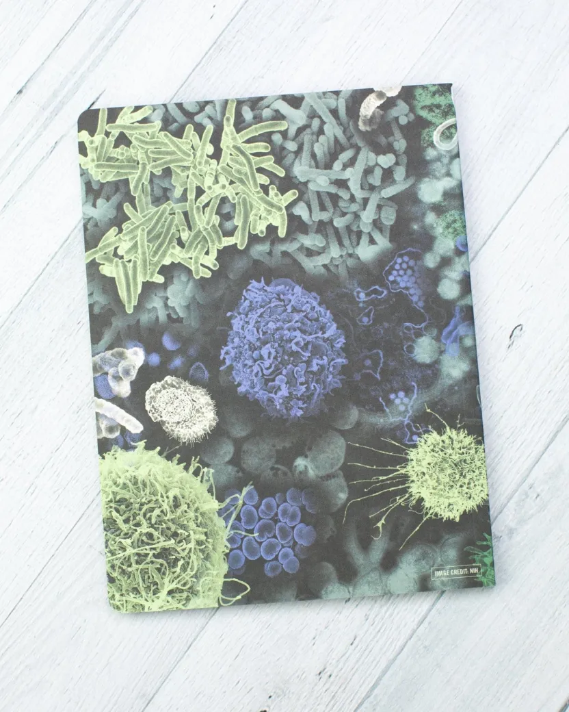 Cognitive Surplus Infectious Disease Softcover Notebook | Recycled Notebook* The Experiment | Medicine