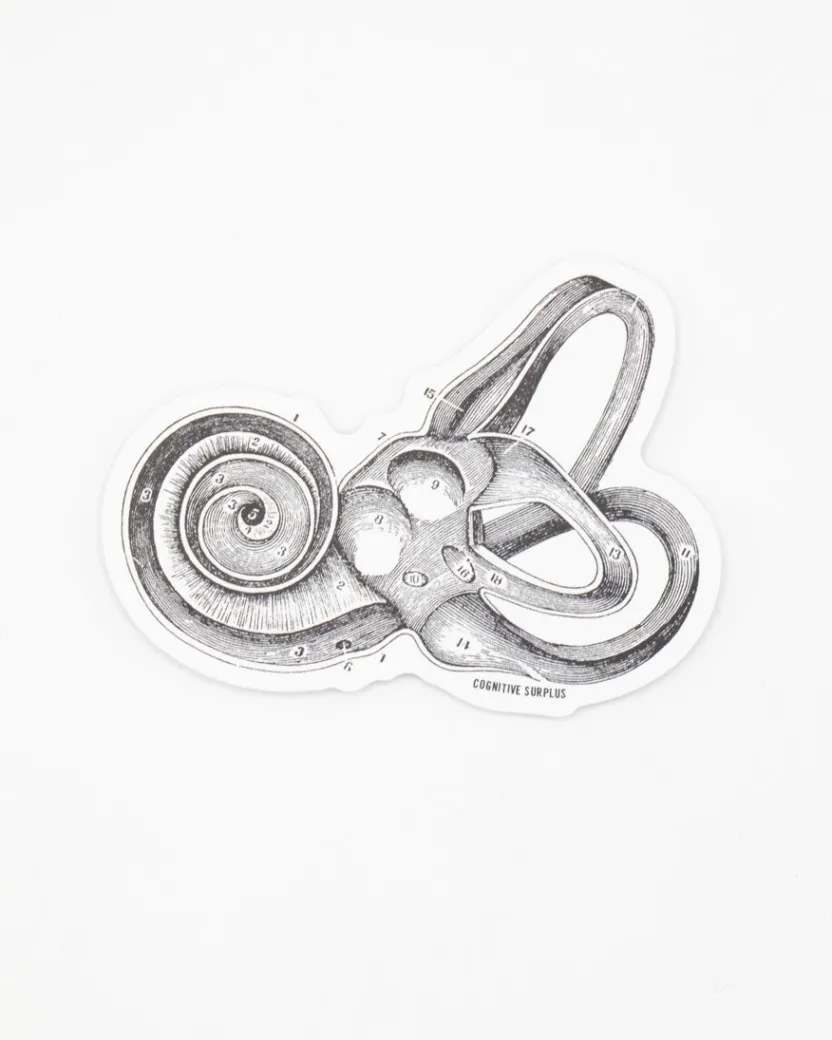 Cognitive Surplus Inner Ear Sticker* Stickers | Medicine