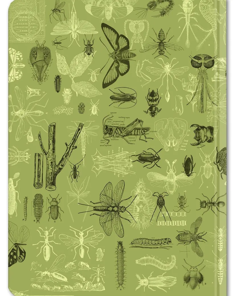 Cognitive Surplus Insect Hardcover Notebook | Dot Grid Graph Paper Notebook* The Hypothesis | Entomology